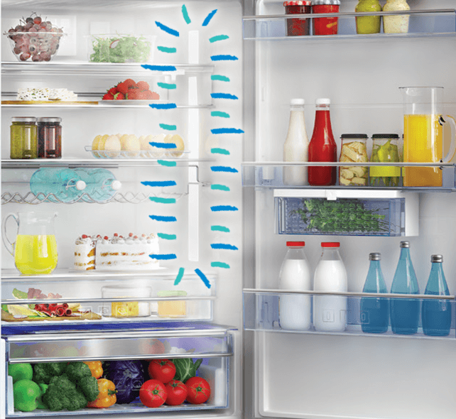 Must Injection rookie Ce este un frigider side-by-side? Avantaje și dezavantaje ale acestui  produs – Blog Ideall.ro