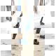 Aspirator 2 în 1 Bosch BBHF216