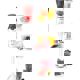Blender Bosch MSM64010
