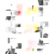 Blender Bosch MSM64110
