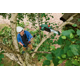 Fierastrau cu lant Bosch 06008B3100