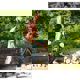 Ferastrau de gradina Bosch AKE 40 S