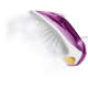 Fier de călcat Philips GC4543/30