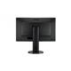 Monitor BENQ GL2450HT 24 " FHD,  LED, 2ms,1000:1, HDMI, D-SUB, DVI, VESA, Speakers, Black Glossy