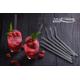 SET 6 PAIE DIN STICLA+PERIE PENTRU CURATARE, ART OF DINING BY HEINNER