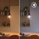 Bec LED RGB inteligent Philips Bulb P45, Wi-Fi, Bluetooth, E14, 4.9W (40W), 470 lm, lumina alba si color (2200-6500K)
