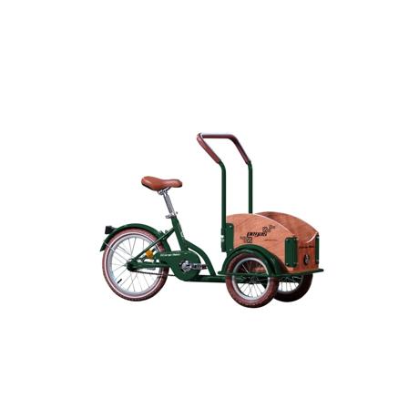 Bicicleta Pegas Mini Cargo 1s Verde Smarald