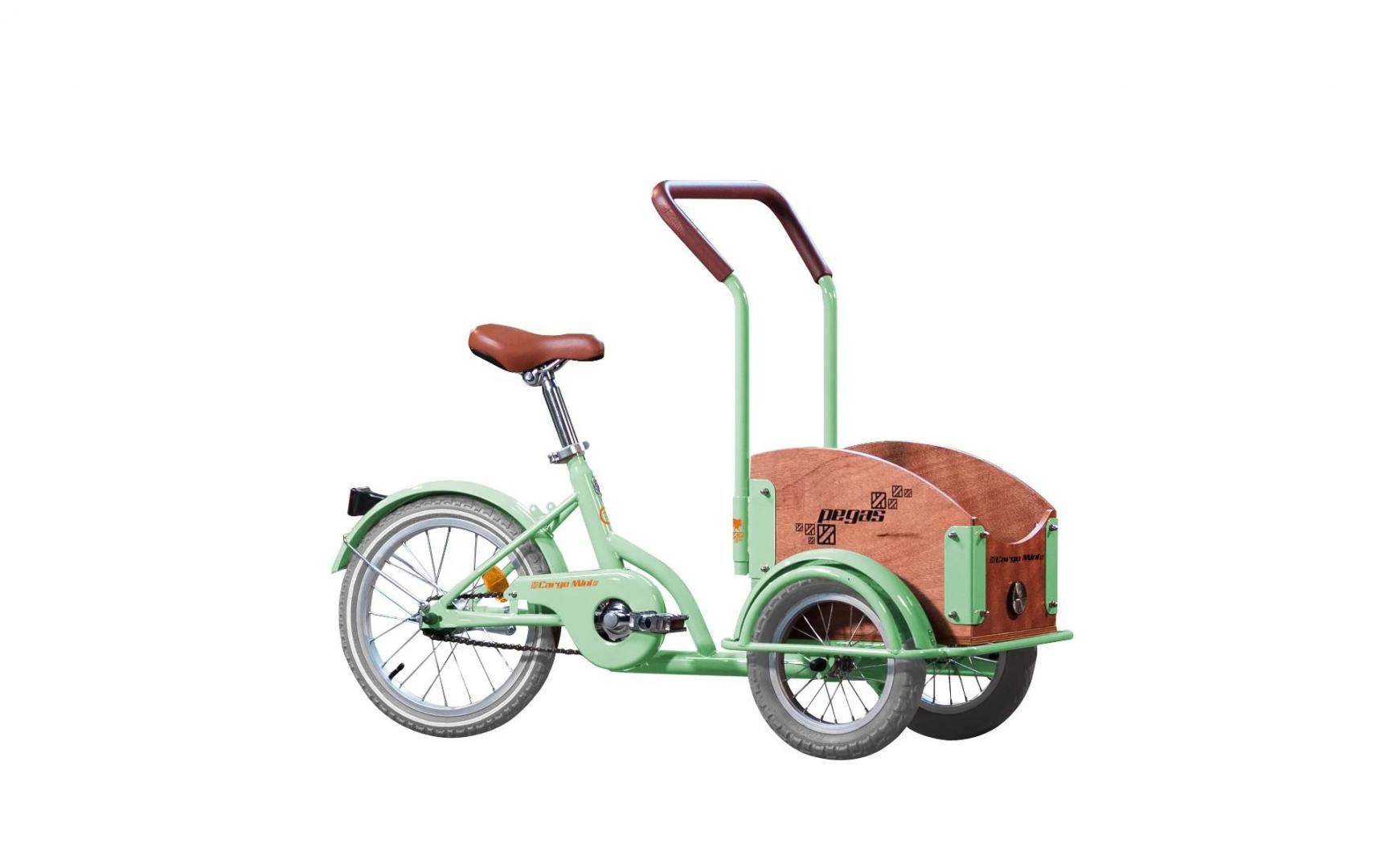 Bicicleta Pegas Mini Cargo 1s Verde Fistic