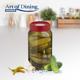 BORCAN DEPOZITARE STICLA  CU CAPAC,1 L ROSU, ART OF DINING BY HEINNER