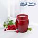 BORCAN DEPOZITARE STICLA  CU CAPAC, 580 ML ROSU, ART OF DINING BY HEINNER