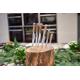 CUTIT PENTRU PAINE 20 CM, TASTE OF HOME BY CHEF SORIN BONTEA,COOKING BY HEINNER 