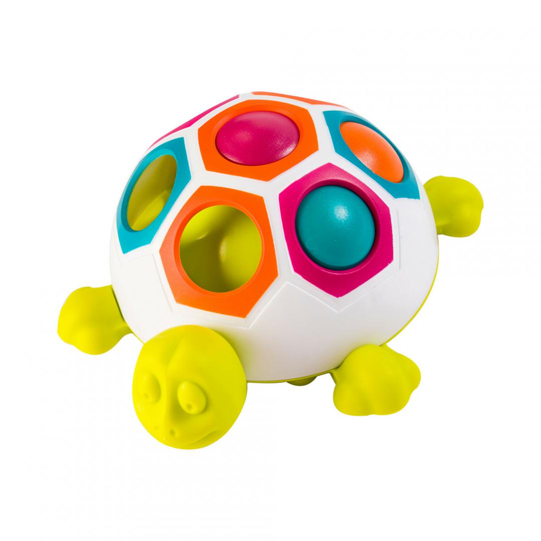 Broasca testoasa cu forme Tomy, Fat Brain