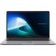 Laptop Business ASUS ExpertBook P1, P1503CVA-NJ0923