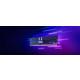 Memorie RAM Kingston 32GB DDR5  6000Mhz,ECC,Furry