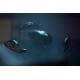 Mouse Razer Naga Pro, Wireless Gaming, negru