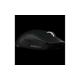 Mouse Logitech G PRO X Superlight 2, 910-006630