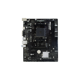 Placa de Baza BIOSTAR A520MHP AM4