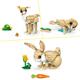 IEPURAS DRAGALAS 3IN1, LEGO 31162