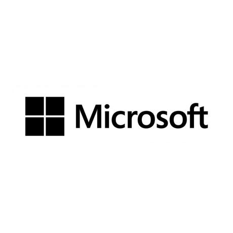 MS WS19 (2-Core) Std Add Lic EMEA SW