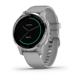  Smartwatch Garmin Vivoactive 4S, Powder Gray/Silver SEU