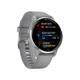 Garmin SmartWatch Venu 2 Plus Silver Stainless Steel Bezel, Grey