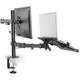 Suport Monitor de Birou, Neomounts by Newstar FPMA-D550NOTEBOOK, 10" - 32", VESA 100x100, suporta pana la 8kg, negru