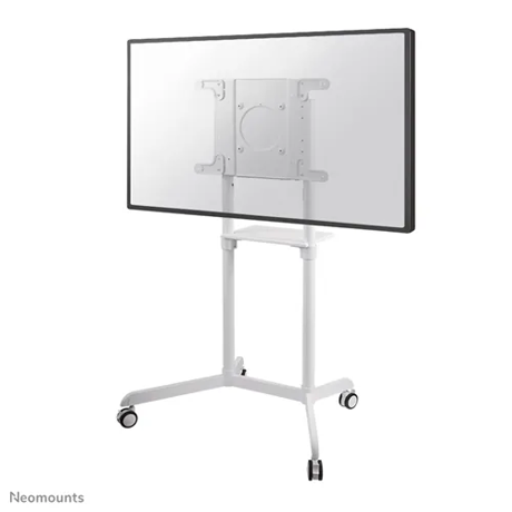 Suport TV de podea, Neomounts by Newstar NS-M1250WHITE, Fix, 37"-70", VESA 600x400, suporta pana la 70kg, alb