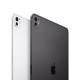 Apple 11-inch iPad Pro MVVD3HC/A