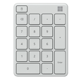 Keypad Numeric Microsoft, Glacier