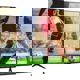Televizor LED Hisense 65A7100F clasa G